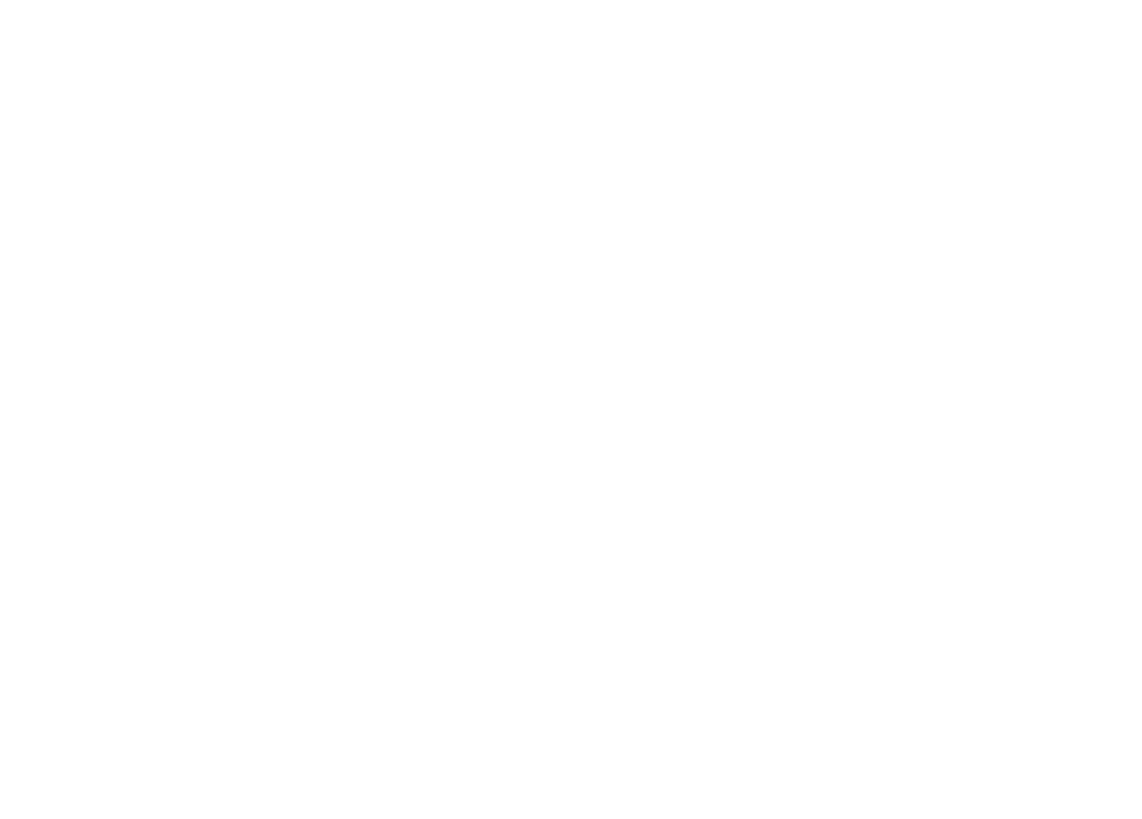 BRIDGE TO CHINA